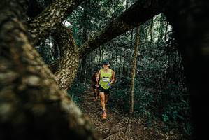 BIB: 
                            <button type="button" onclick="openModal(25666015)" class="btn btn-primary btn-sm float-right btn-popup" data-toggle="modal" data-target=".modal-high-quality">
                        <i class="fas fa-shopping-cart"></i> Add to Cart
                    </button>
                                            <button type="button" onclick="isThisMe(25666015, true)" class="btn btn-success btn-sm float-right btn-popup btn-isme hidden" data-toggle="tooltip" data-placement="bottom" title="นี่คือรูปของคุณใช่ไหม คลิกที่นี่เพื่อเอาเข้าอัลบั้ม">
                        <i class="fas fa-plus"></i> Add to album
                    </button>
                    <button type="button" onclick="isThisMe(25666015, false)" class="btn btn-warning btn-sm float-right btn-popup btn-isnotme hidden">
                        <i class="fas fa-ban"></i> Remove from album
                    </button>